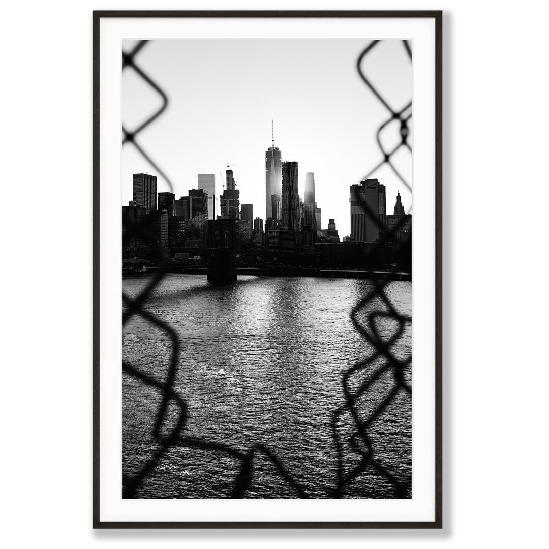 Through the Fence