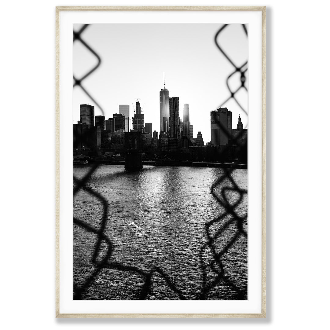 Through the Fence