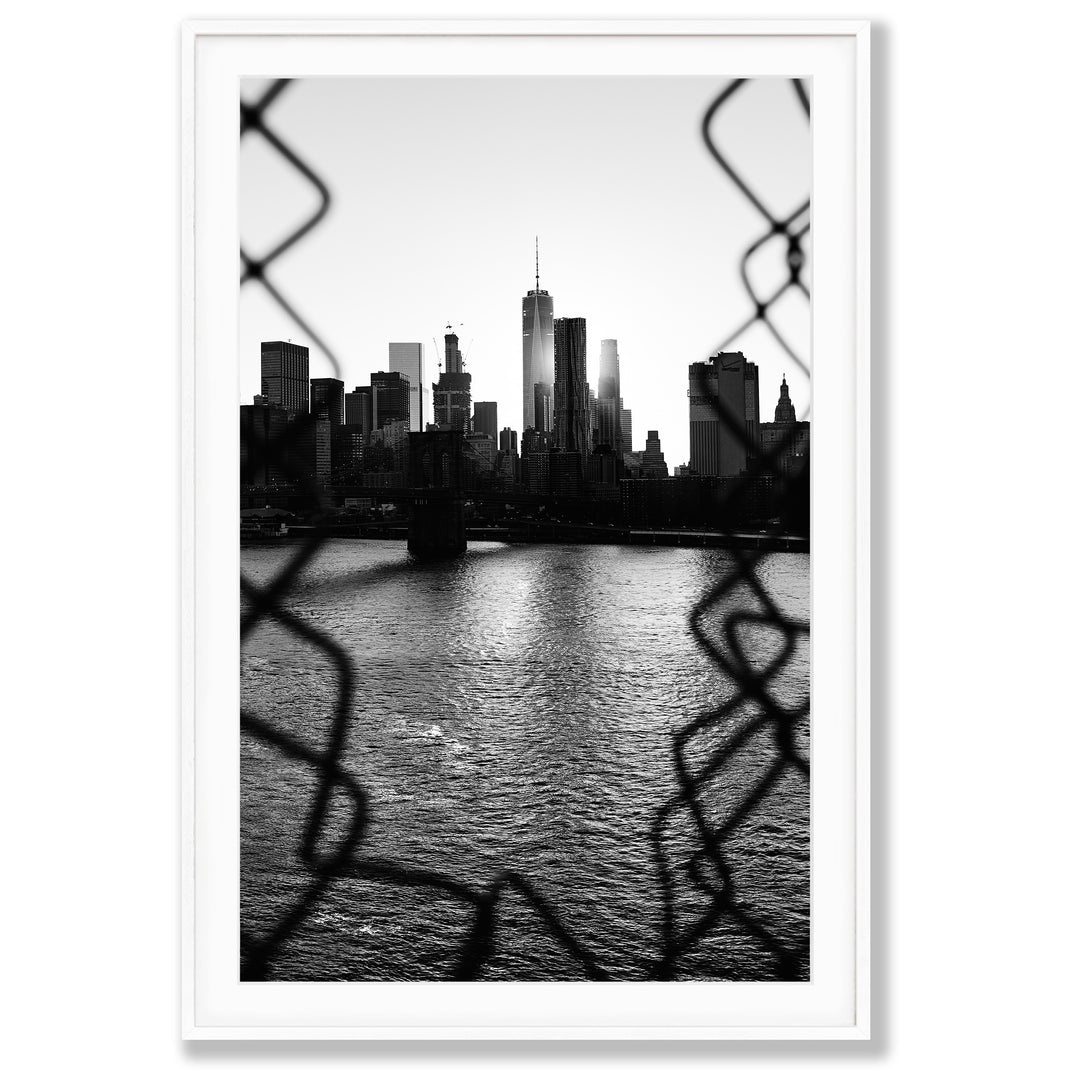 Through the Fence